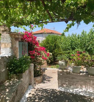 Apokoronas Casa | Sergios Village House