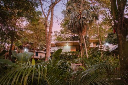 Canaveral Complejo | Serrano Tayrona Lodge