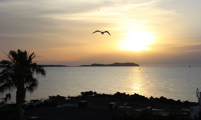 Bahía de San Antonio Apartamento | Apartamentos Ses Fontanelles con vistas frontales al mar y a la puesta de sol