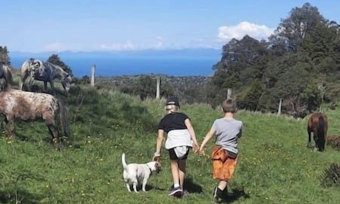 Takaka Hill Cabina | Settlers Cabin (Starlight)