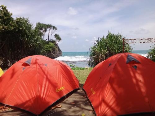 Cimerak Otro | Sewa Tenda Pantai Madasari