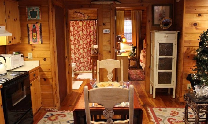 Ellijay Cabina | Shady Hollow - ¡Escapada romántica para parejas con bañera de hidromasaje, Internet y cable!