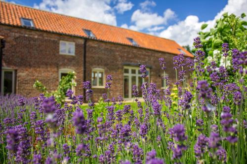 Lincoln Casa | Shakespeare Cottage