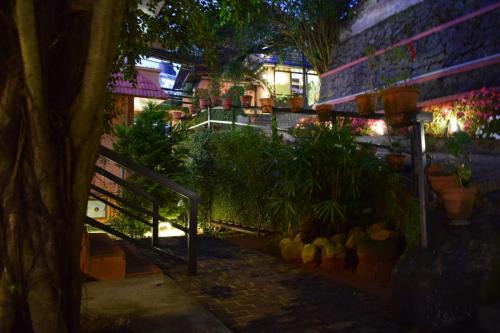 Devikolam Casa | Shamrock Holiday Home
