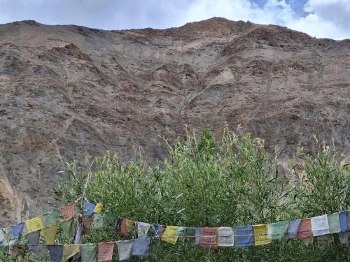 Tingmosgang Cama Y Desayuno | Shanglang Guest House Ladakh by LexStays