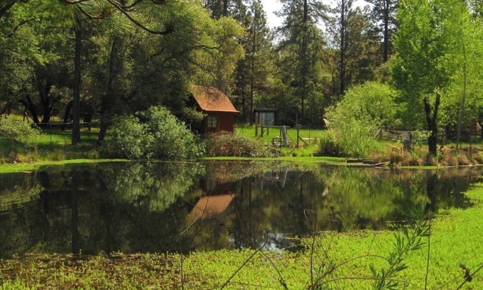 Rough and Ready Cabaña | Shangrila with view of wildlife pond above artist's studio in Rough and Ready