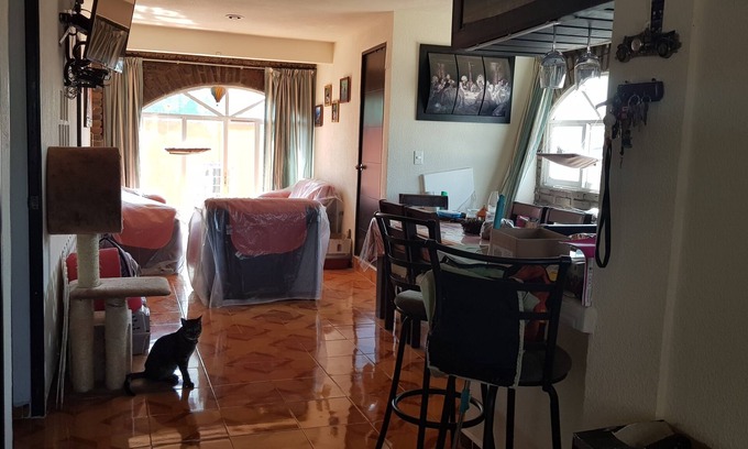 Coyoacán Apartamento | Habitación compartida para viajeros gay hombres.