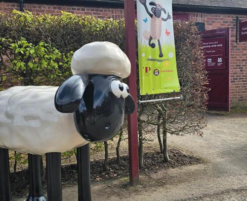 Trafford Casa | Shaun the Sheep