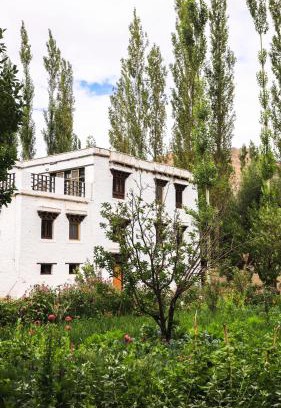 She Casa | Shel Heritage Home