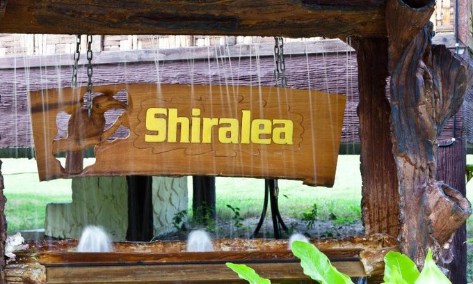 Haad Yao Complejo | Shiralea Backpackers Resort