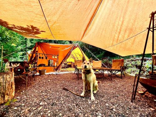 Shirasu Otro | Shirasu-Ojiro FLORA Campsite in the Natural Garden - Vacation STAY 70013v