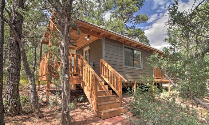 Show Low Casa | ¡NUEVO! Show Dog-Friendly Cabina baja 13 millas a Hon-Dah!