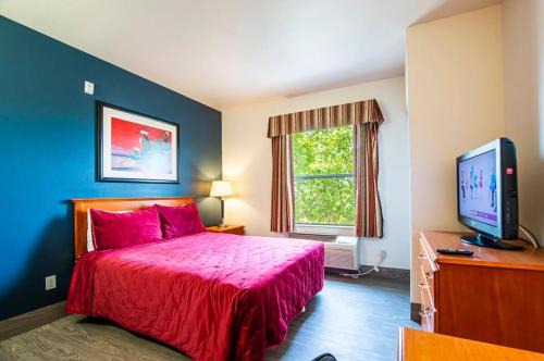 Sierra Vista Apartamento | Sierra Vista studio apartment with full kitchen and King Bed