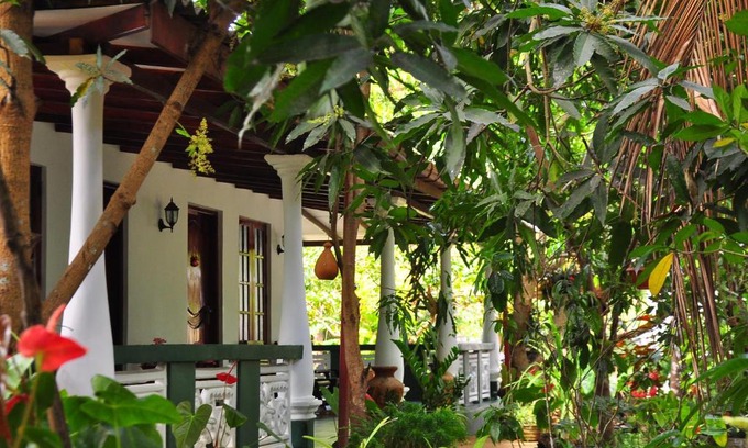 Sigiriya Casa | Sigiri Rock Side Home Stay