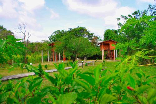 Sigiriya Hotel | Sigiri Royal Point Tree House