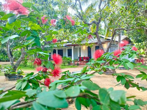 Sigiriya Casa | Sigiriya Moon Mirage Villa