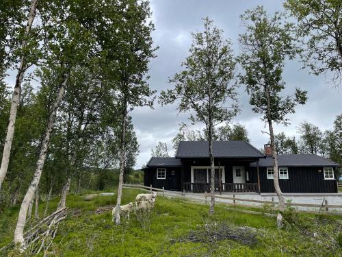 Al Casa | Sigurdhytta