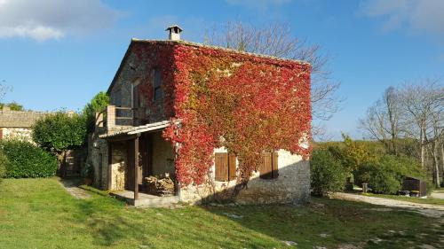Amelia Apartamento | Silence and relaxation in countryside of Umbria