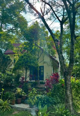 Kuttikkanam Apartamento | Silver oaks plantation cottage