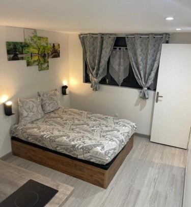 Meyzieu Nord Ouest Apartamento | Silver Stuidio ARENA , Stade Groupama , Eurexpo