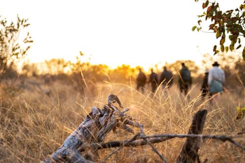 Kruger National Park Cabina | Simbavati Trails Camp