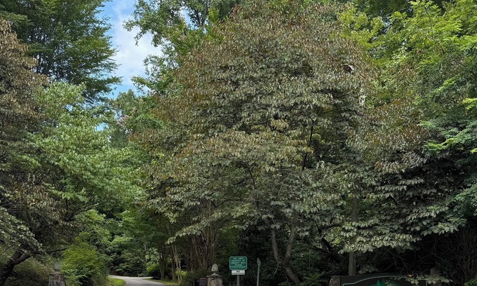 Whittier Cabina | Simple Charming 2-bedroom cabin in Whittier NC, 14 miles from Cherokee