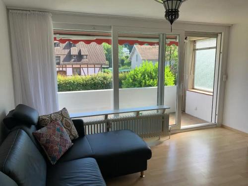 Busingen am Hochrhein Apartamento | Simple Rhine view apartment
