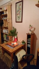 Dniprovs'kyi District Apartamento | Singl room in Киев