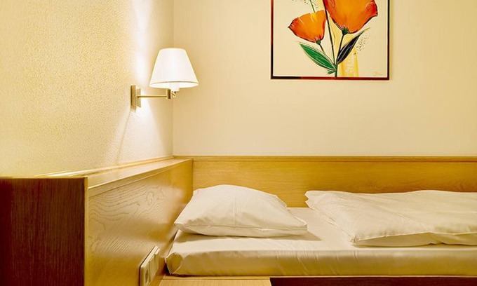 Umkirch Apartamento | Habitación individual con baño y ducha - Hotel Heuboden