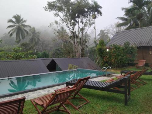 Kotapola Cama Y Desayuno | Sinharaja Rainforest Sanctuary