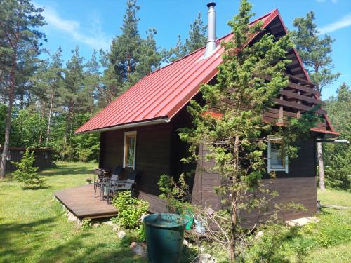Saaremaa Casa | Sinilille suvemaja saunaga