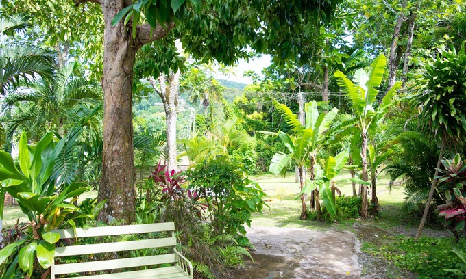 Port Antonio Casa | Sinopia Inn