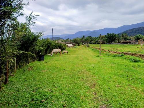 Camburi Casa | Sitio 6 Irmãos