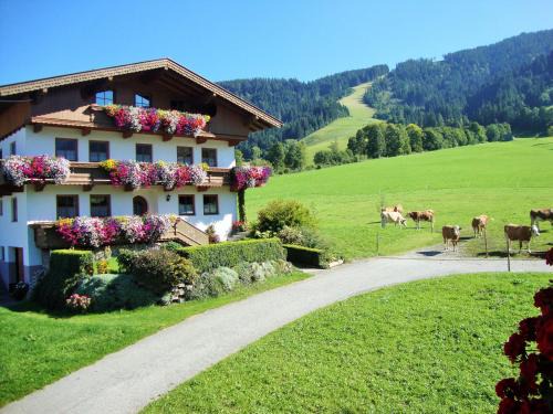 Niederau Apartamento | Sixenhof