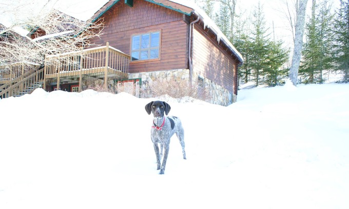 Snowshoe Condominio | Cabina de esquí: cabina cerrada, cómoda y bien mantenida, ideal para familias