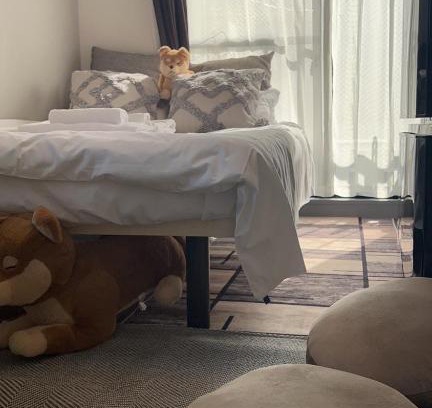 Sumida Apartamento | Sky hotel 睛空塔热门旅游景区 最近车站步行3分钟 机场直达 周边有便利店 商场 温泉 购物餐饮方便