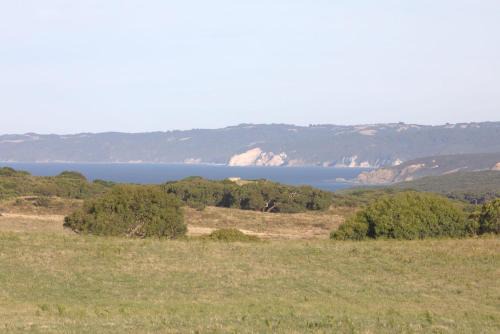 Cape Otway Casa | SKY SHIP 2 Luxury Off-Grid Eco Accommodation