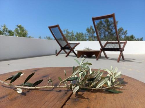Skiros Casa | Skyros BnB ANNA House in Brooke