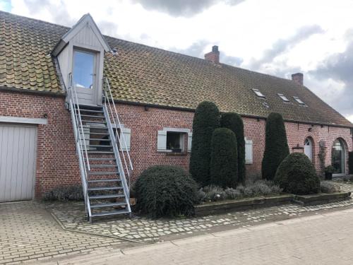 Vlimmeren Apartamento | slapen bij alpacas