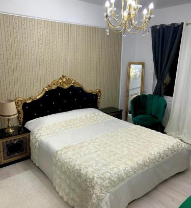 Slatina Apartamento | Slatina RECEA RESIDENCE