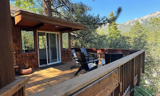 Fern Valley Cabina | Sleek & cozy treehouse cabin w/ brand new bathrooms, walk to town, A+ views!