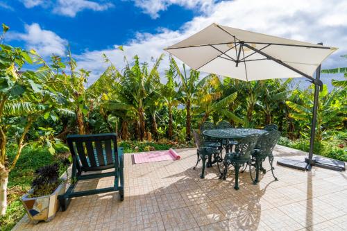 Ponta do Sol Casa | Sleep Among the Bananas! Rustic Cottage with Trails at Your Doorstep