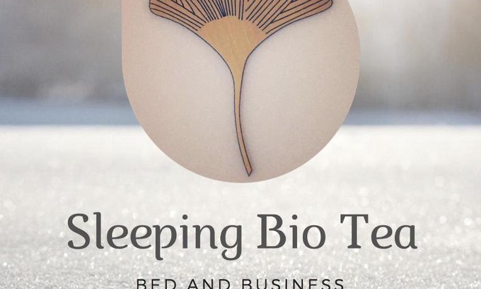 Veymerange Cama Y Desayuno | Sleeping Bio Tea