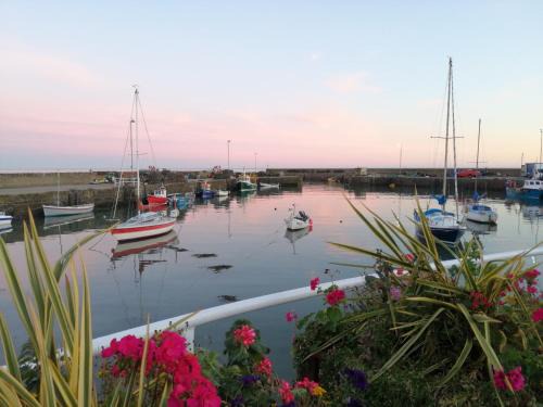 Montrose Cama Y Desayuno | Sma Harbour Hoose
