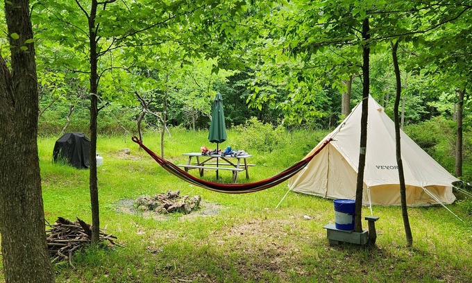 Frontenac Alquiler De RV | Small family & pet friendly campground. Easy access to many public beaches.