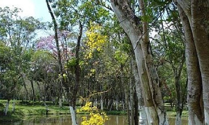 Rio Grande Casa | Chacra para la temporada, fines de semana, vacaciones y eventos