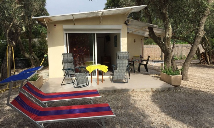 Saint-Andre Casa | Pequeña casa en olivar junto a ARGELES SUR MER