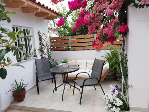 Halepa Apartamento | Small Studio with Yard