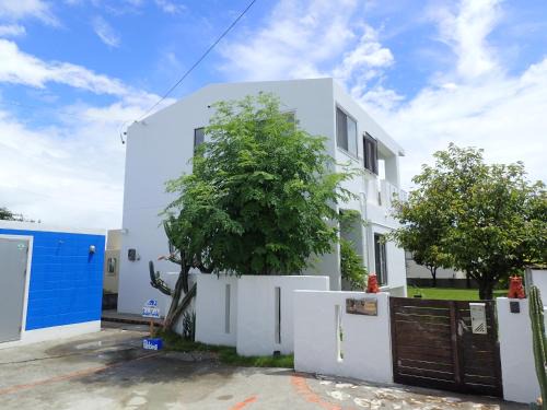Gushikawa Casa | Smilax Kurichi