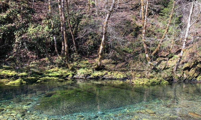 Crescent City Cabina | Smith River Off-Grid Retreat